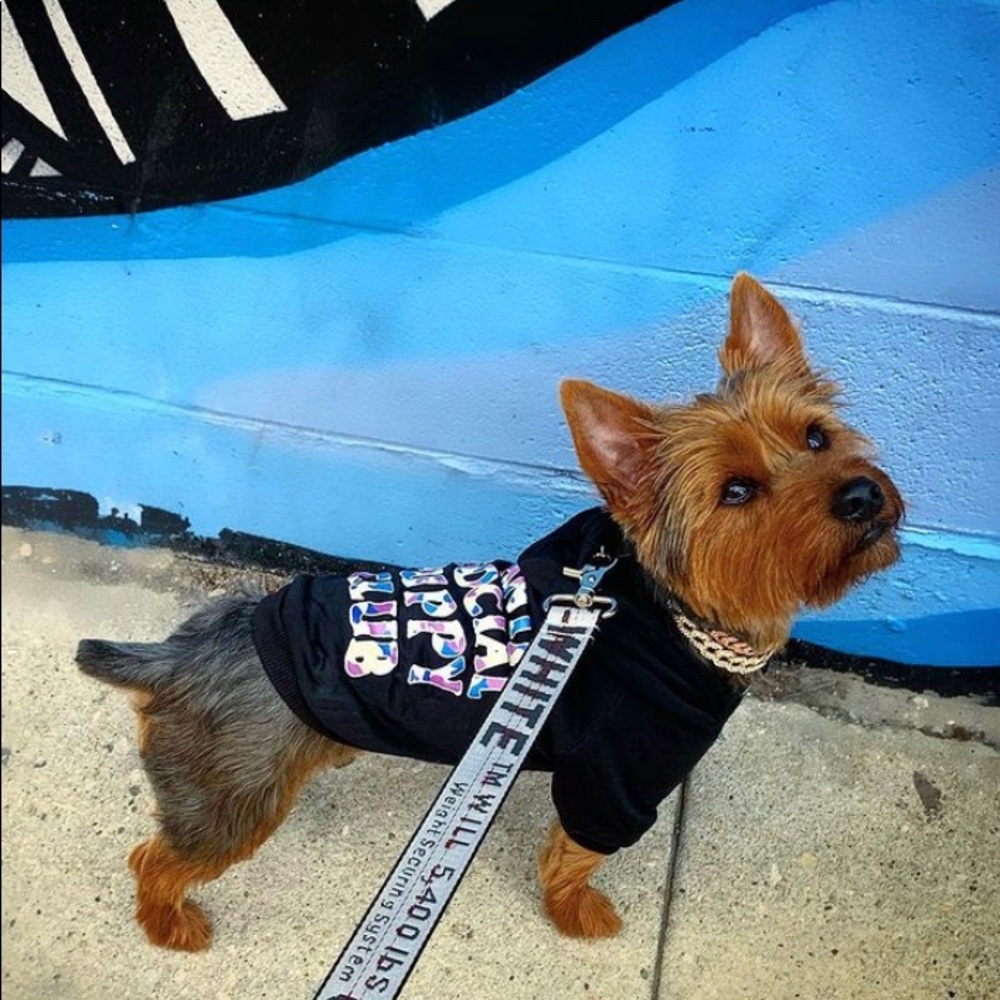 Anti social puppy club dog hoodie